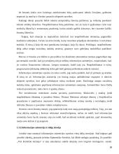 Informacijos asimetrijos teorijos modeliai 18 puslapis