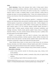 Įmonės vertinimas naudojantys akcijų vertinimo metodais ir jų taikymas 4 puslapis