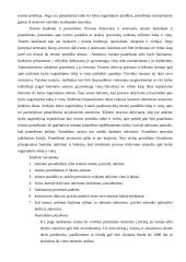 Administracinės teisės procesas 13 puslapis