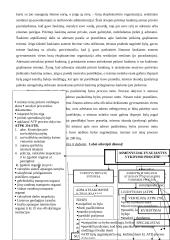 Administracinės teisės procesas 15 puslapis