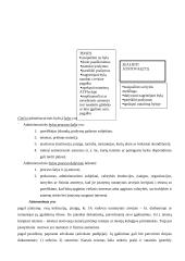 Administracinės teisės procesas 16 puslapis