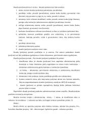 Administracinės teisės procesas 4 puslapis