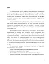 Direktyvų tiesioginio veikimo sąlygos 2 puslapis