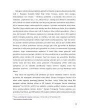 Direktyvų tiesioginio veikimo sąlygos 11 puslapis