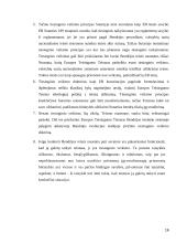 Direktyvų tiesioginio veikimo sąlygos 16 puslapis