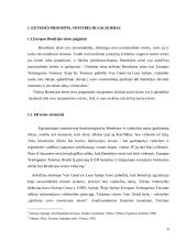 Direktyvų tiesioginio veikimo sąlygos 4 puslapis