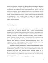 Direktyvų tiesioginio veikimo sąlygos 5 puslapis