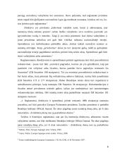 Direktyvų tiesioginio veikimo sąlygos 6 puslapis