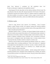 Direktyvų tiesioginio veikimo sąlygos 7 puslapis