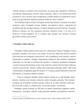 Direktyvų tiesioginio veikimo sąlygos 8 puslapis