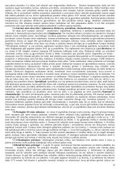 ES teisė 13 puslapis