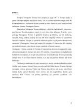 ETT sprendimai ir precedento problema 2 puslapis