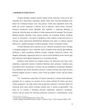 ETT sprendimai ir precedento problema 3 puslapis