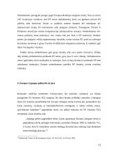 Europos Sąjungos pilietybė 11 puslapis