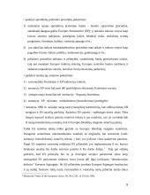 Europos Sąjungos pilietybė 5 puslapis