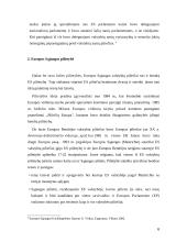 Europos Sąjungos pilietybė 6 puslapis