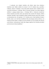 Europos Komisijos kova su rasizmu ir netolerancija veikla 12 puslapis