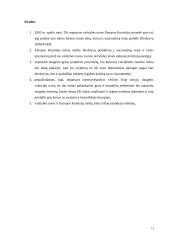 Europos Komisijos kova su rasizmu ir netolerancija veikla 13 puslapis