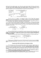 Apskaitos teorija 15 puslapis