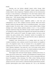 Prieglobsčio suteikimo harmonizavimas ES 4 puslapis