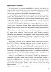 Proporcingumo principas ir EŽTT praktika 6 puslapis