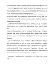 Proporcingumo principo aiškinimas EŽTT jurisprudencijoje 12 puslapis