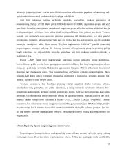 Proporcingumo principo aiškinimas EŽTT jurisprudencijoje 19 puslapis