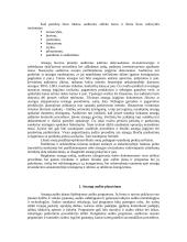 Atsargų audito tikslai, planavimas, procedūros 2 puslapis