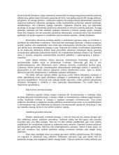 Atsargų audito tikslai, planavimas, procedūros 11 puslapis