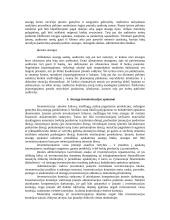 Atsargų audito tikslai, planavimas, procedūros 12 puslapis