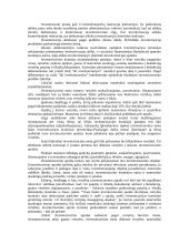 Atsargų audito tikslai, planavimas, procedūros 13 puslapis