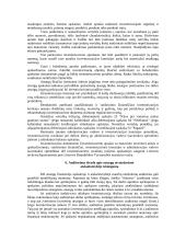 Atsargų audito tikslai, planavimas, procedūros 14 puslapis