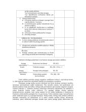 Atsargų audito tikslai, planavimas, procedūros 5 puslapis