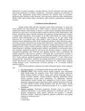 Atsargų audito tikslai, planavimas, procedūros 6 puslapis