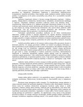 Atsargų audito tikslai, planavimas, procedūros 10 puslapis