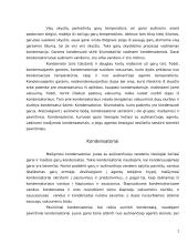 Aušinimas skysčiais 2 puslapis