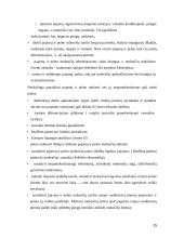 Pajamų ir pelno mokesčių objektai, tarifai, apskaičiavimo metodika ir įtaka subjektui 15 puslapis