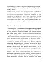 Pajamų ir pelno mokesčių objektai, tarifai, apskaičiavimo metodika ir įtaka subjektui 4 puslapis