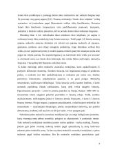 Pajamų ir pelno mokesčių objektai, tarifai, apskaičiavimo metodika ir įtaka subjektui 7 puslapis