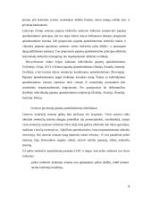 Pajamų ir pelno mokesčių objektai, tarifai, apskaičiavimo metodika ir įtaka subjektui 9 puslapis