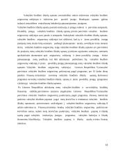 Valstybės biudžeto formavimo pagrindai bei ypatumai 12 puslapis