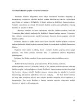 Valstybės biudžeto formavimo pagrindai bei ypatumai 16 puslapis