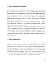 Valstybės biudžeto formavimo pagrindai bei ypatumai 17 puslapis