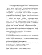 Valstybės biudžeto formavimo pagrindai bei ypatumai 4 puslapis