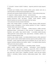 Valstybės biudžeto formavimo pagrindai bei ypatumai 7 puslapis