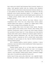 Mokesčių istorija Lietuvoje 11 puslapis