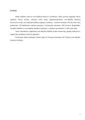 Lietuvos savivaldybių finansai ir jų struktūra 2 puslapis