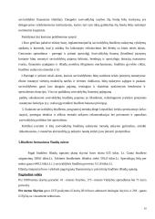 Lietuvos savivaldybių finansai ir jų struktūra 20 puslapis