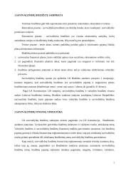 Lietuvos savivaldybių finansai ir jų struktūra 3 puslapis