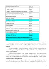 Lietuvos savivaldybių finansai ir jų struktūra 8 puslapis